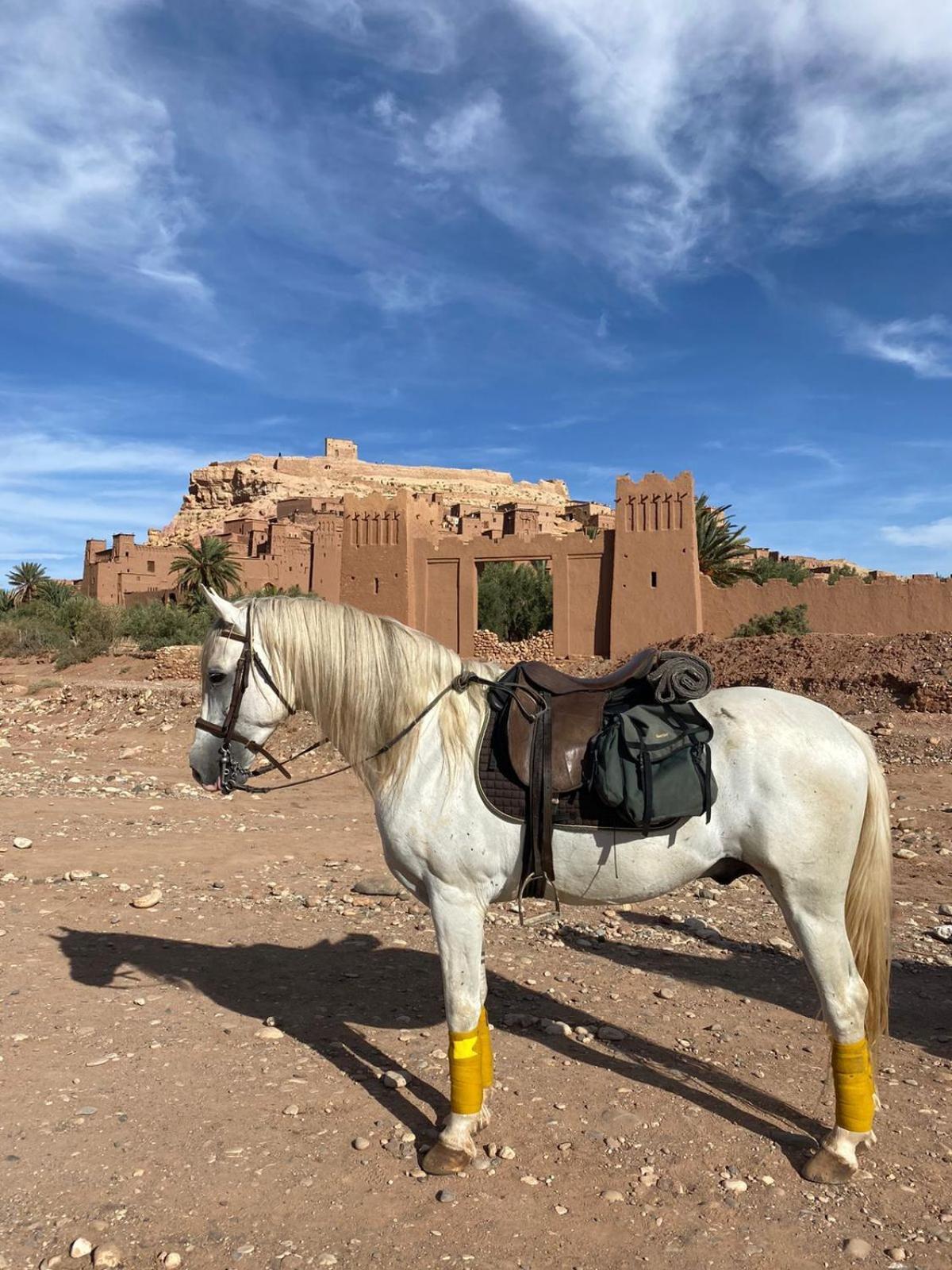 Taman'Art Space Aït-Ben-Haddou Exterior foto